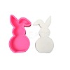Easter Rabbit DIY Candle Silicone Molds CAND-M001-01C-1