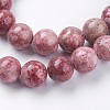 Natural Fossil Coral Beads Strands G-F563-01-10mm-3