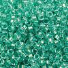 Glass Cylinder Beads SEED-L011-11B-17-3