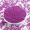 Baking Paint Glass Seed Beads SEED-S001-K21-2