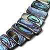 Natural Paua Shell Beads Strands BSHE-S305-01B-3