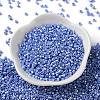 Baking Paint Glass Seed Beads X-SEED-S042-15A-12-2