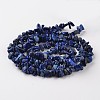 Nuggets Dyed Natural Lapis Lazuli Bead Strands G-M344-21-2