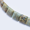 Natural Aqua Terra Jasper Beads Strands G-E444-19-3