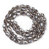 Electroplate Glass Beads Strands EGLA-R008-6x4mm-11-2