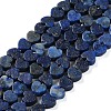 Dyed Natural Lapis Lazuli Beads Strands G-M403-A30-01-1