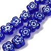 Handmade Millefiori Lampwork Beads Strands LAMP-G164-03B-1