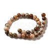 Natural Crazy Agate Round Bead Strands X-G-M272-03-6mm-4