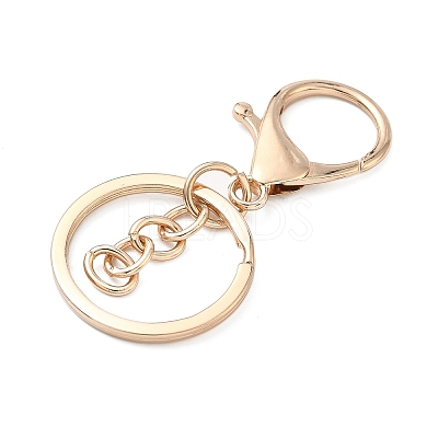 Alloy Keychain Clasps X-FIND-C084-10KCG-1