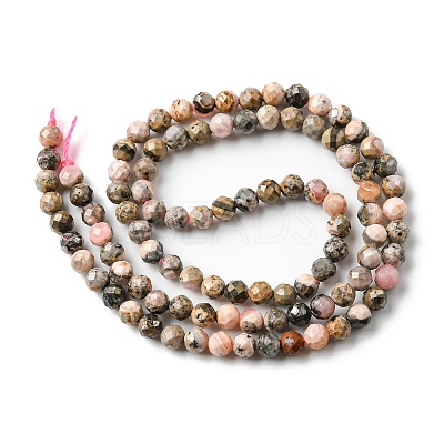 Natural Argentina Rhodonite Beads Strands LS-G-M399-01B-1