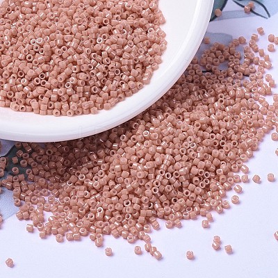 MIYUKI Delica Beads X-SEED-J020-DB1363-1
