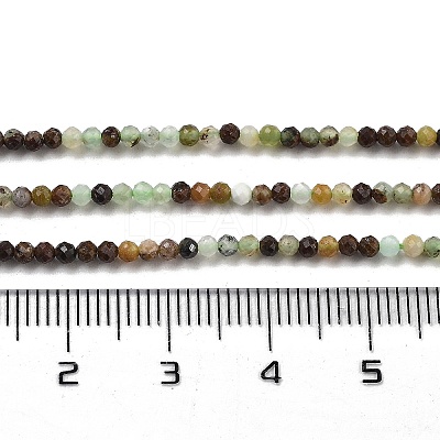 Natural Chrysoprase Beads Strands G-G140-A14-07-1