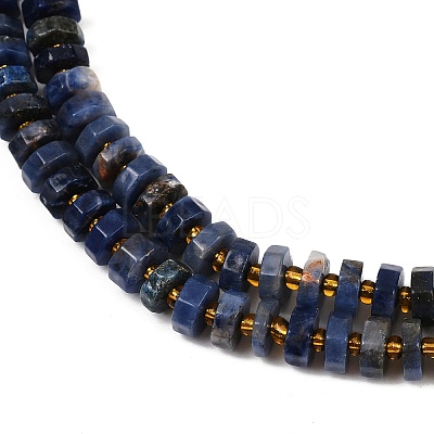 Natural Sodalite Beads Strands G-F796-A10-01-1