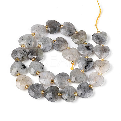 Natural Labradorite Beads Strands LS-G-P592-B14-01-1