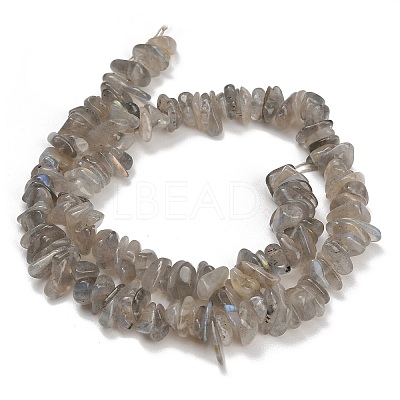 Natural Labradorite Beads Strands GG-CBAC61B-C06-01-1