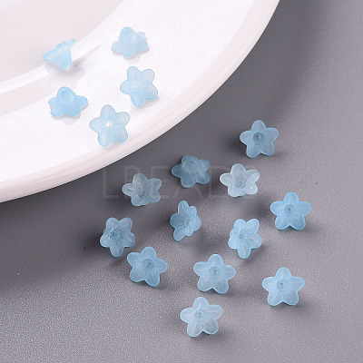 Transparent Acrylic Beads X-PL554-12-1