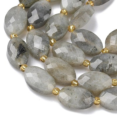 Natural Labradorite Beads Strands G-A295-A01-01-1