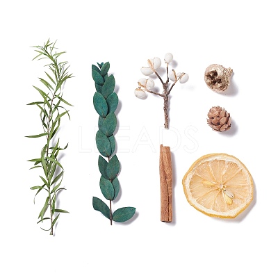 Dried Flowers DIY-D052-08-1