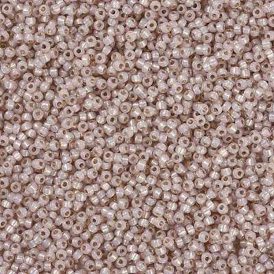 MIYUKI Round Rocailles Beads X-SEED-G008-RR0579-1