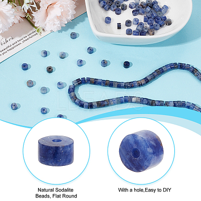 1 Strand Natural Sodalite Beads Strands G-DC0001-37-1