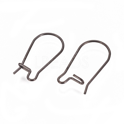 304 Stainless Steel Hoop Earrings Findings Kidney Ear Wires Ion Plating(IP) STAS-L216-22C-B-1