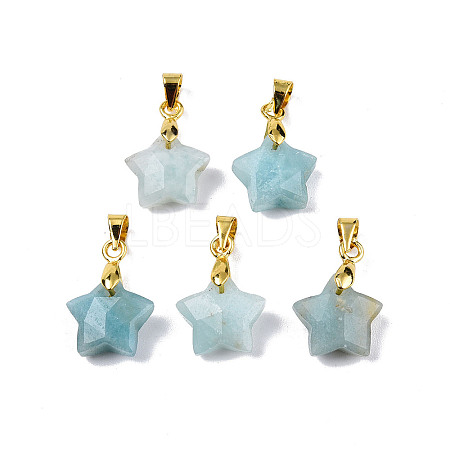 Natural Amazonite Charms X-G-N326-142-08-1
