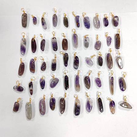 SUPERFINDINGS 50Pcs Natural Amethyst Pendants FIND-FH0005-16-1