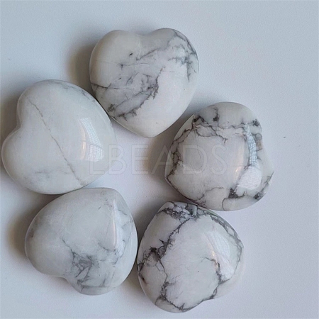 Natural Howlite Display Decorations PW-WG37563-10-1