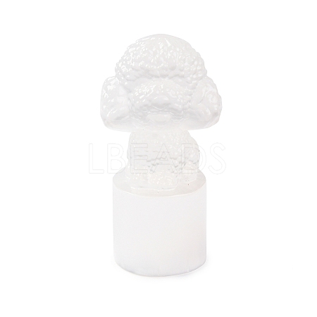 Natural Selenite Figurines DJEW-Q006-01H-1