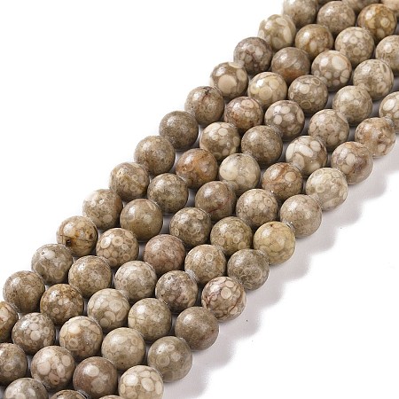 Natural Maifanite/Maifan Stone Beads Strands X-G-I187-6mm-01-1