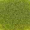 TOHO 11/0 Round Beads SEED-XTR11-0024-2