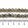 Natural Labradorite Beads Strands G-G065-A01-01-5