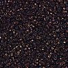 MIYUKI Delica Beads X-SEED-J020-DB1002-3