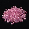 FGB 8/0 Grade A Round Glass Seed Beads SEED-N002-E-304-3