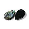 Natural Paua Shell Epoxy Resin Cabochons SSHEL-S279-01E-2