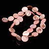 Natural Shell Beads Strands PBB251Y-6-2