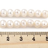 Natural Cultured Freshwater Pearl Beads Strands PEAR-C003-13F-5