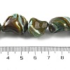 Dyed Natural Trochus Shell Beads Strands BSHE-Z006-02D-4