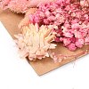 Dried Flower DIY-B018-12-2