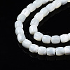 Natural Trochid Shell/Trochus Shell Beads Strands X-SSHEL-N034-121-B01-3