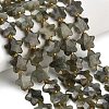 Natural Gray Labradorite Beads Strands G-L657-A02-01-1