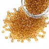 8/0 Glass Seed Beads X-SEED-A004-3mm-2-1