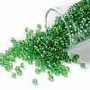 TOHO Round Seed Beads SEED-JPTR08-0167-1