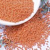 MIYUKI Round Rocailles Beads SEED-G007-RR0424-1