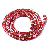 Natural Trochus Shell Beads Strands SHEL-S278-027D-2