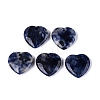 Natural Sodalite Pendants G-Q601-29B-1