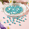 Picasso Glass Seed Beads SEED-TADJ0001-05D-4