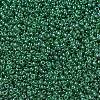 MIYUKI Round Rocailles Beads SEED-G007-RR0173-1
