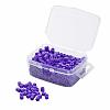 1 Box 5mm Hama Beads PE DIY Fuse Beads Refills for Kids DIY-X0047-A39-B-2