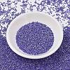 MIYUKI Delica Beads SEED-JP0008-DB1569-4